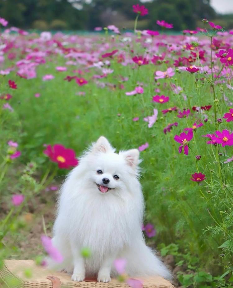 本日も宜しくお願いいたします