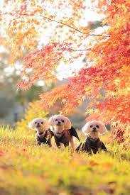 お疲れ様でした