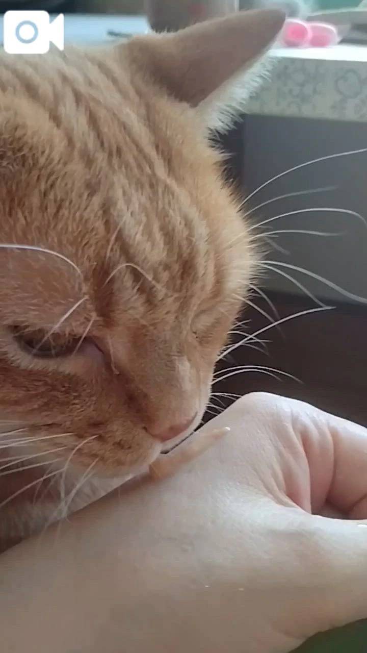 ほっとひと息😻