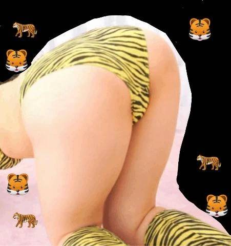 ジュピター３０６様、ありがとうございます。