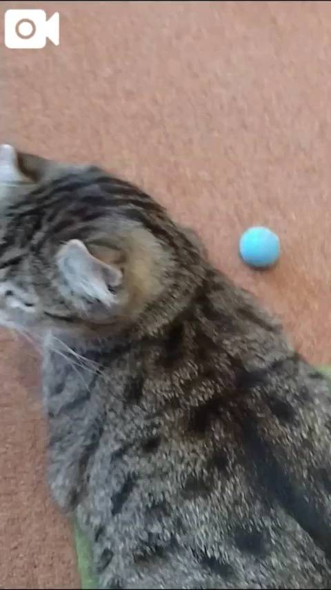 ほっとひと息😻