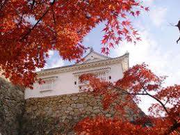 世間では三連休の最終日