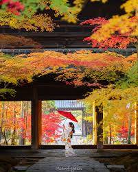 本日も宜しくお願いいたします