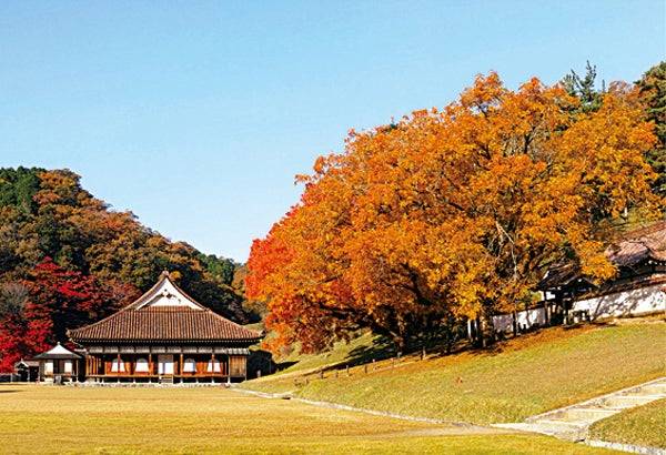 初めましてのY様に感謝~です