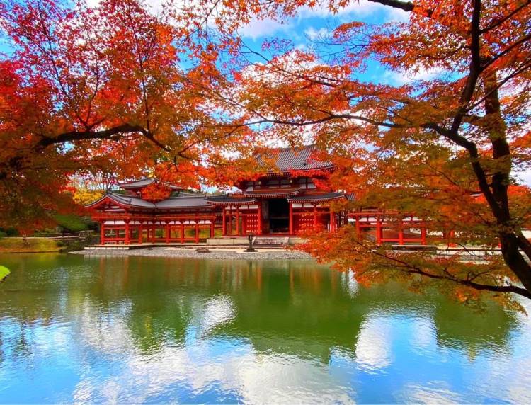 今月最後の火曜日