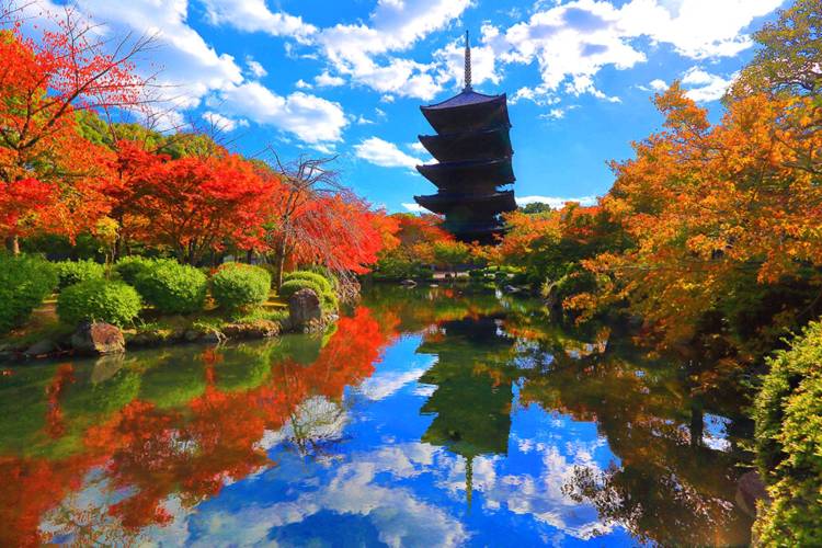 雨降りのお天気