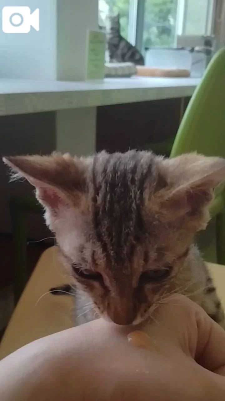 ほっとひと息😻