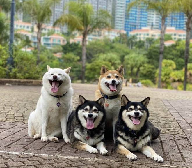 初めましてのK様に感謝~です