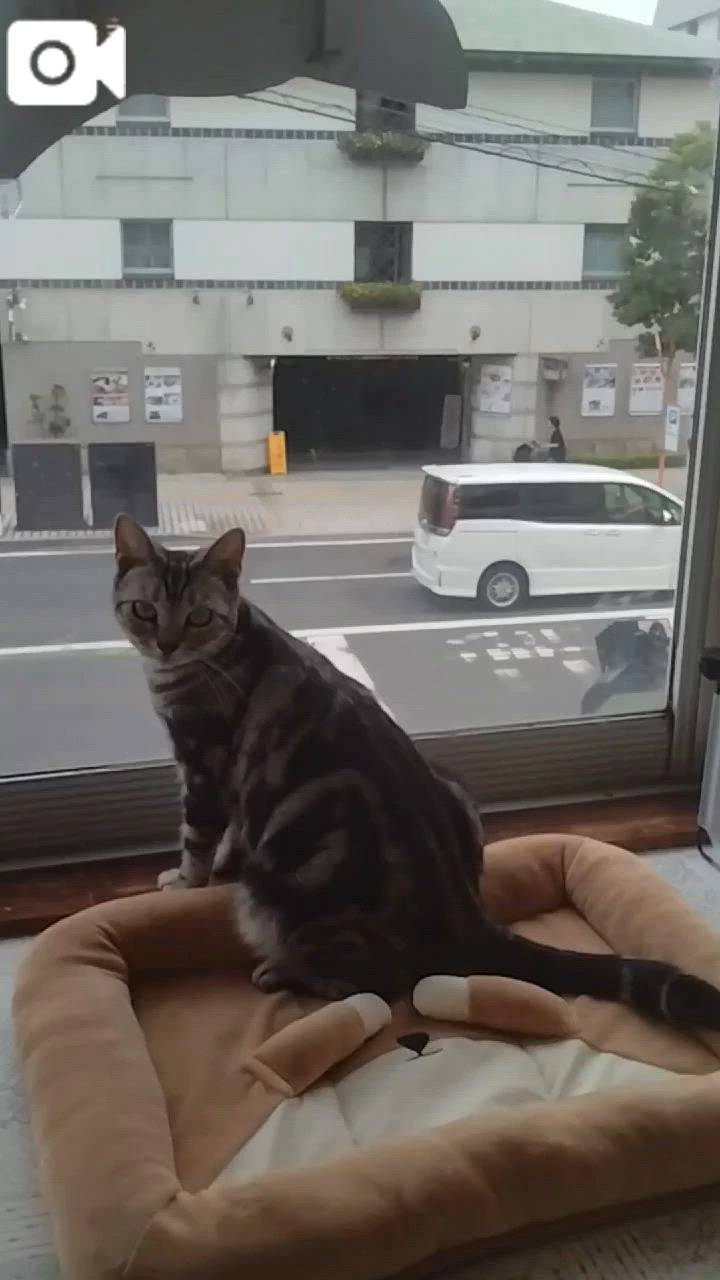 ほっとひと息😻