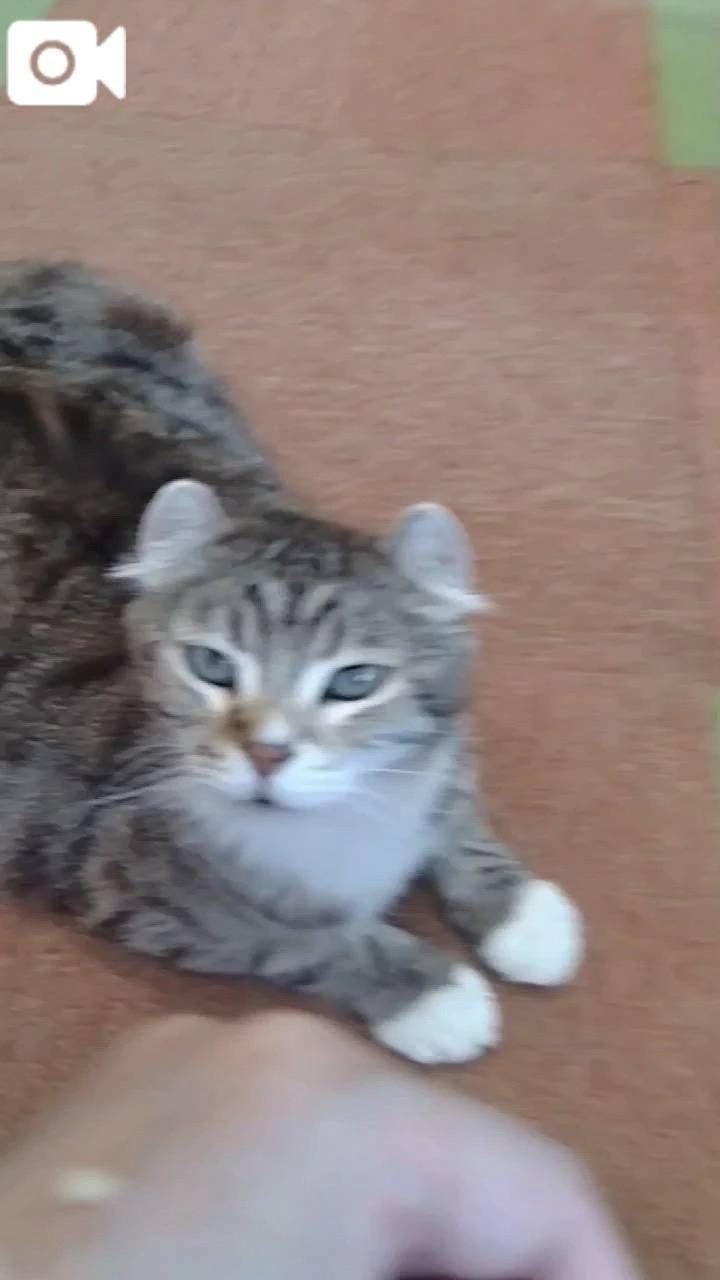 ほっとひと息😻