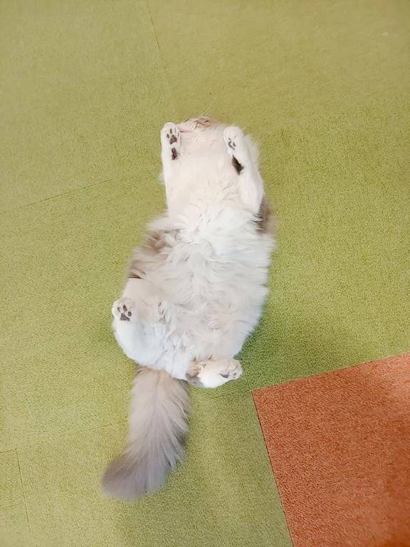 ありがとうございました😊