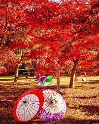 本日も宜しくお願いいたします