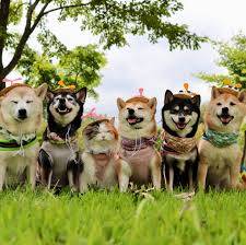 ありがとうございました