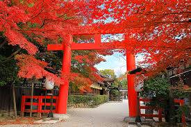 予想最高気温は昨日と同じ１５℃