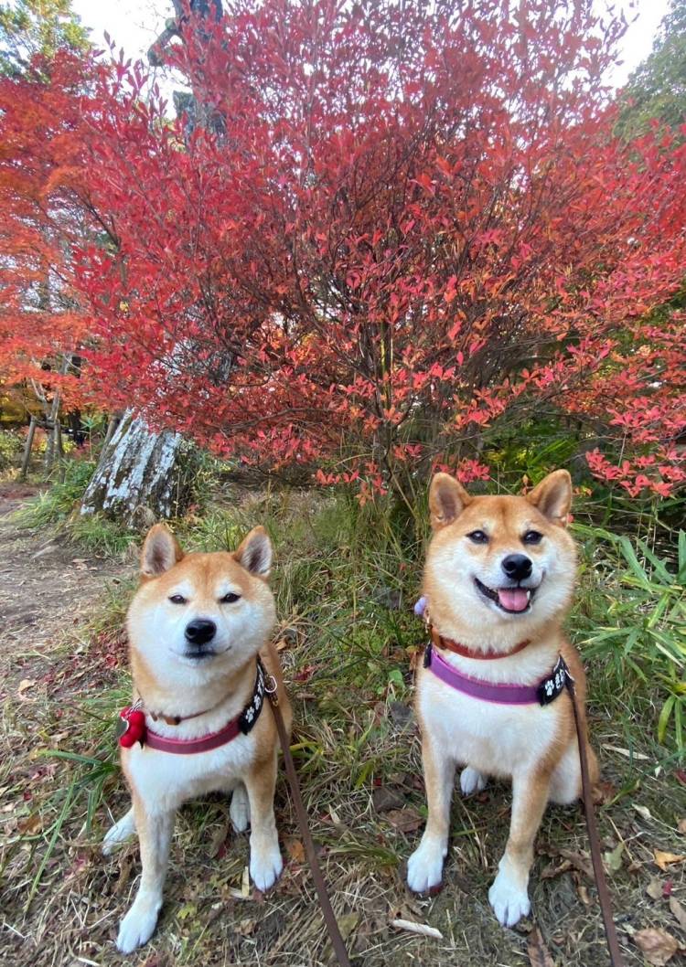 さゆり　　指名料無料中