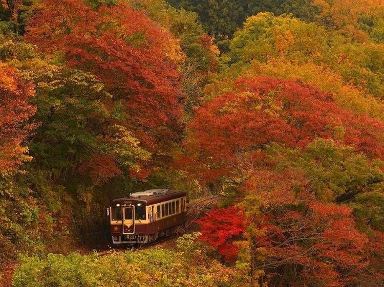 本日も宜しくお願いいたします