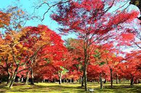 お休みさせていただきます