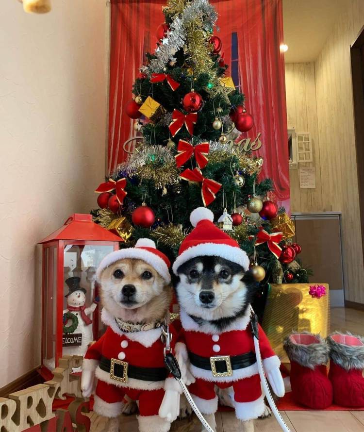 お疲れ様でした