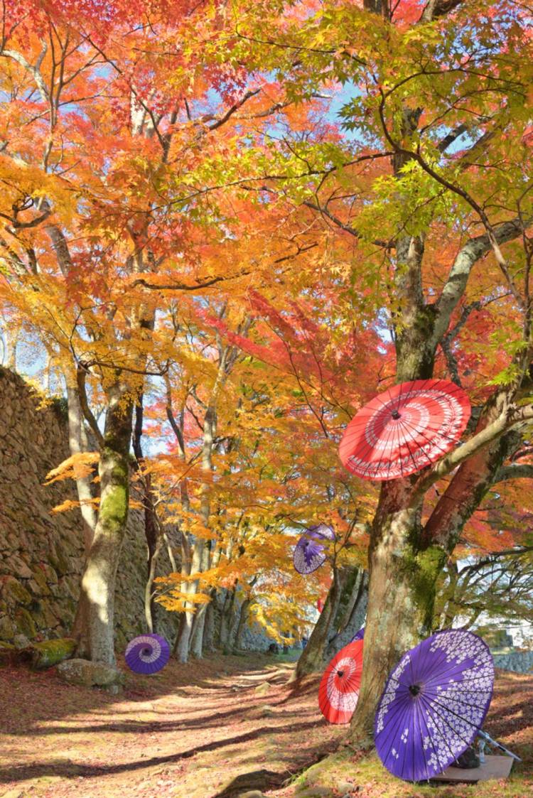 予想最高気温は19℃