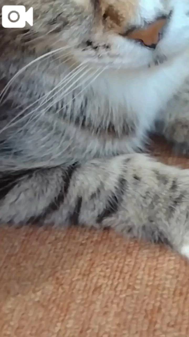 ほっとひと息😻