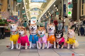 ありがとうございました