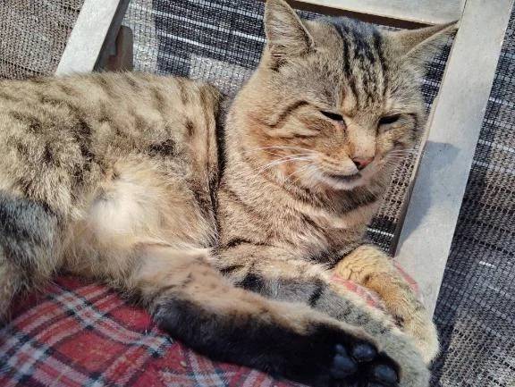 おはようございます😊