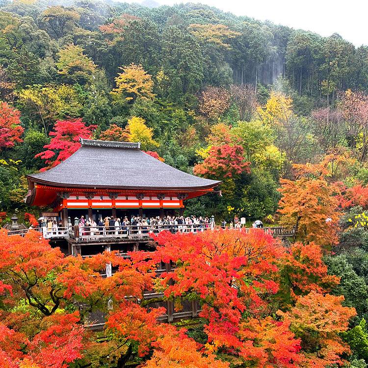 予想最高気温は１０℃
