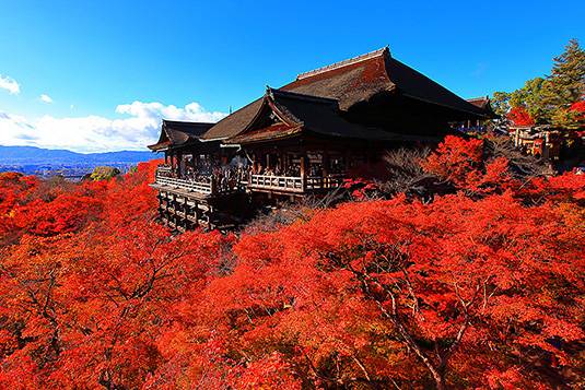 本日も宜しくお願いいたします