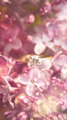 12/3のありがとう♡