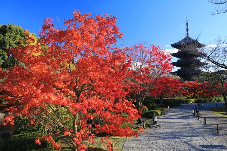 予想最高気温は昨日と同じ10℃