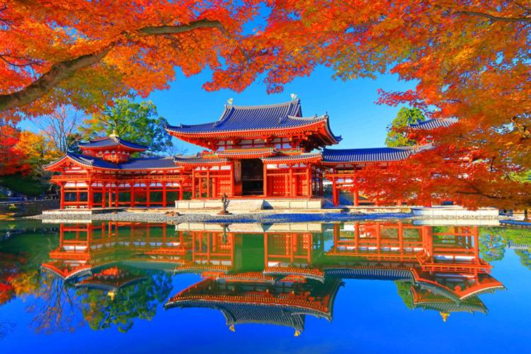 予想最高気温は１１℃