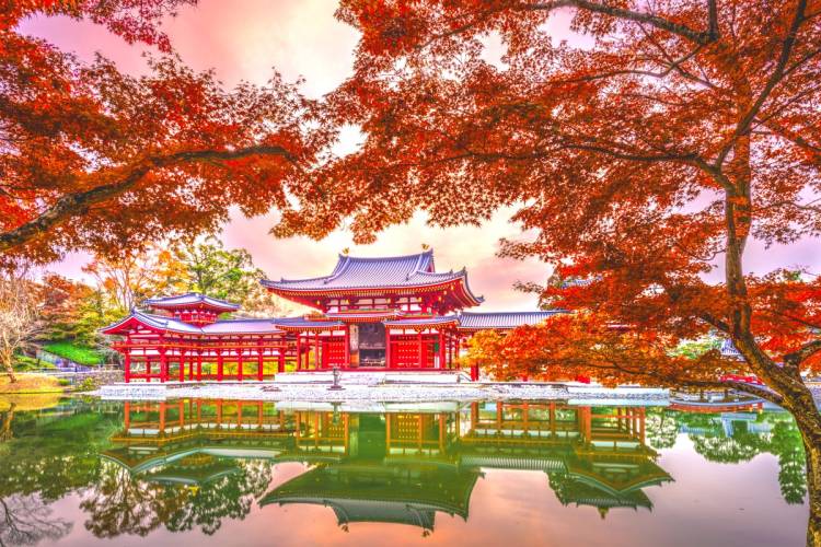 本日も宜しくお願いいたします