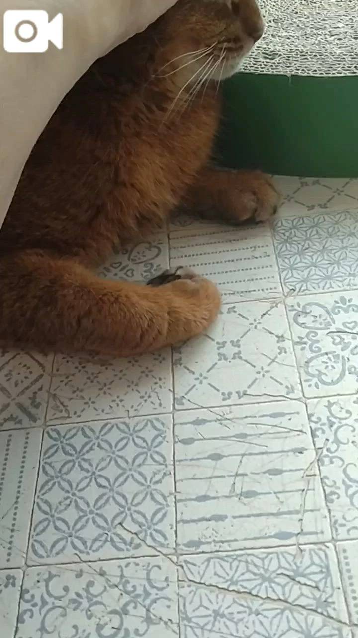 ほっとひと息😻