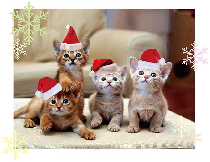 ありがとうございました