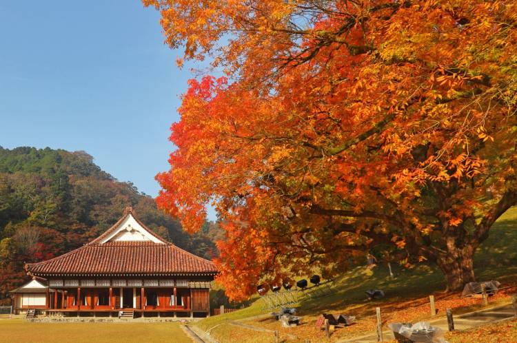 予想最高気温は13℃