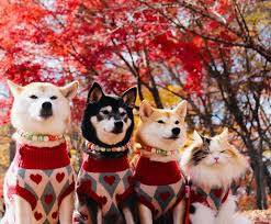 お疲れ様でした