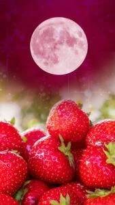 12/5のありがとう♡