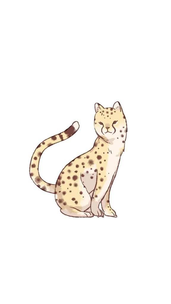 【アニマル診断】今日の運勢ランキング