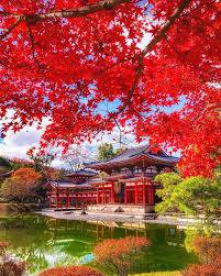 本日も宜しくお願いいたします