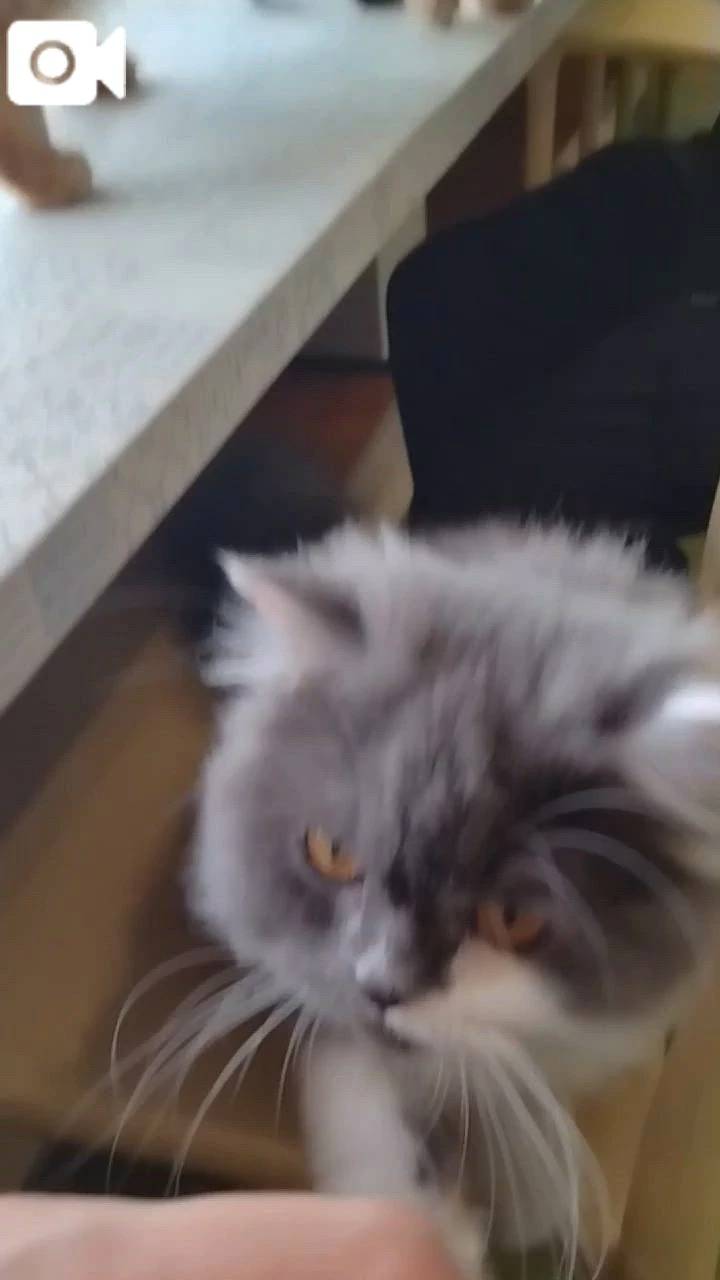 ほっとひと息😻