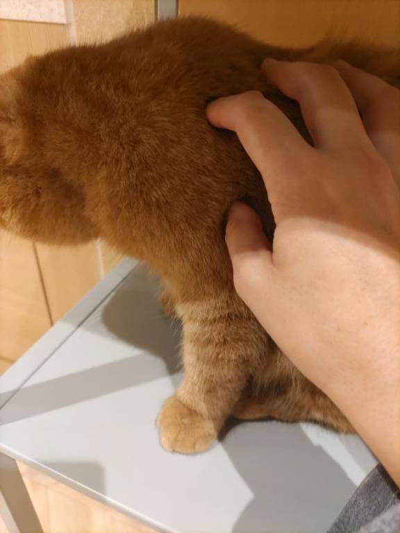 体験　ゆずき　　指名料無料　応援企画対応