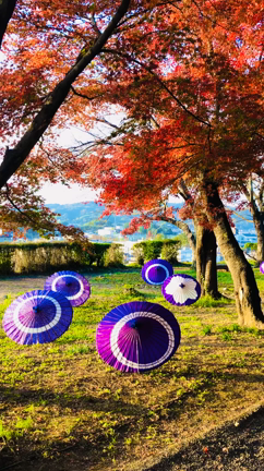 お休みさせていただきます