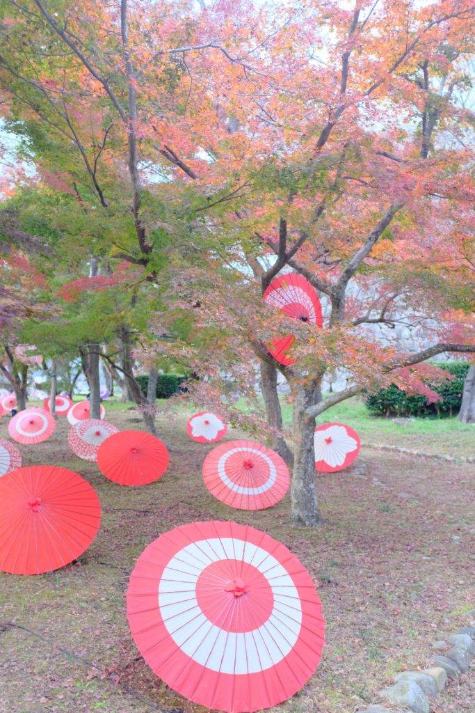 予想最高気温は昨日と同じ１７℃