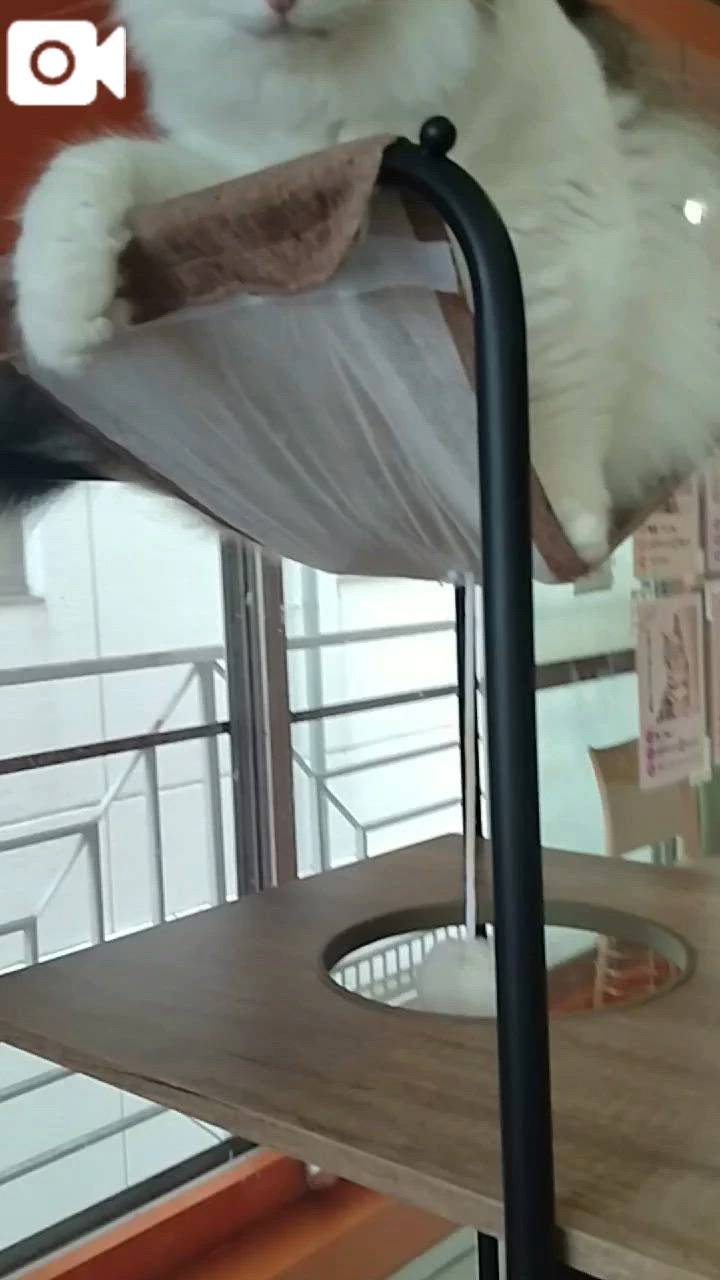 ほっとひと息😻