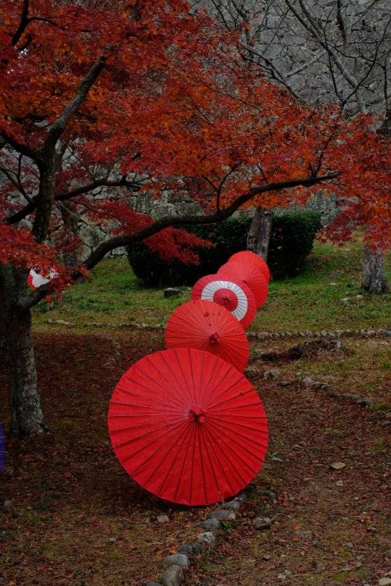 本日も宜しくお願いいたします