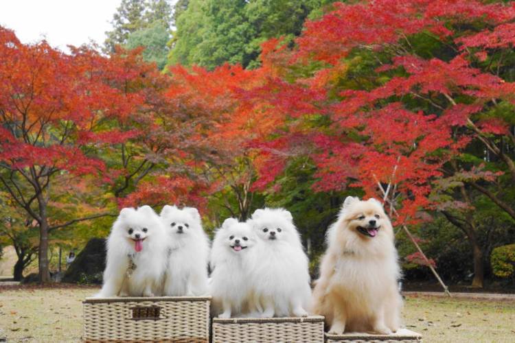 お疲れ様でした