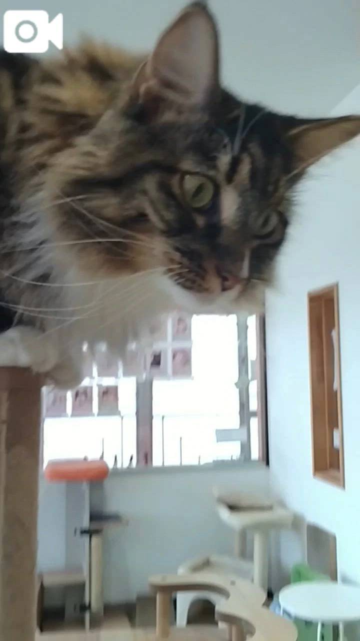 ほっとひと息😻