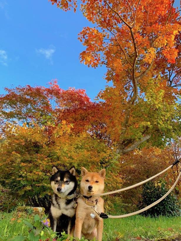 お疲れ様でした