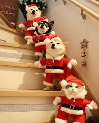 ありがとうございました