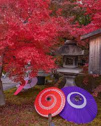 本日も宜しくお願いいたします